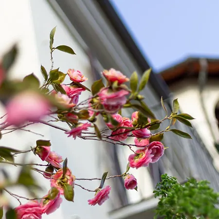 Holiday home La Verbena - Storica Con Parco In Val Pellice Torre Pellice